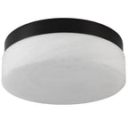 12 Inch LED Ceiling Light