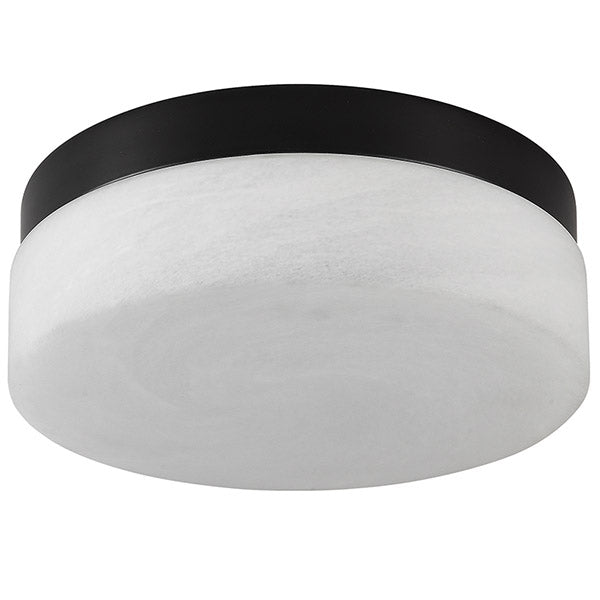 12 Inch LED Ceiling Light