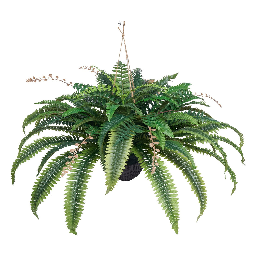 Artificial Ferns
