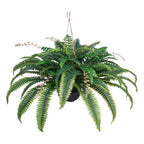 Artificial Ferns