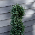3FT Topiary Artificial Faux Cedar Tree Spiral Fake Plant
