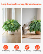 Artificial Ferns