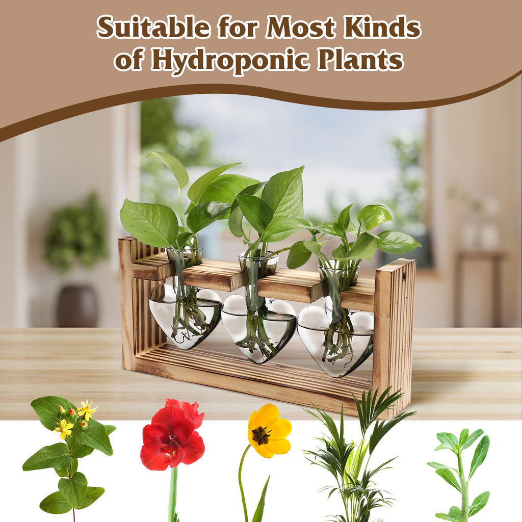 1Pc Plant Terrarium Propagation Station With 3 Heart Shaped Vases Wood