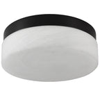 12 Inch LED Ceiling Light