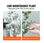 Artificial Eucalyptus Tree