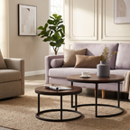 Modern Nesting Coffee Table |  2-Layer Design