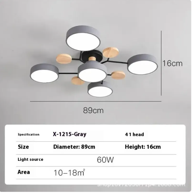 Living Room LED Ceiling Lamp | Modern Design