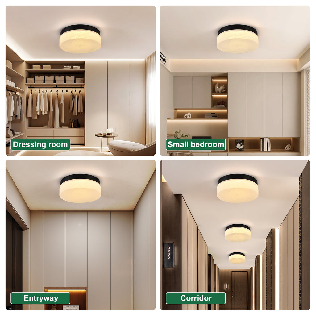 12 Inch LED Ceiling Light
