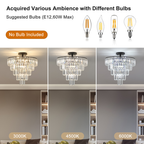 Large Black Crystal Chandelier