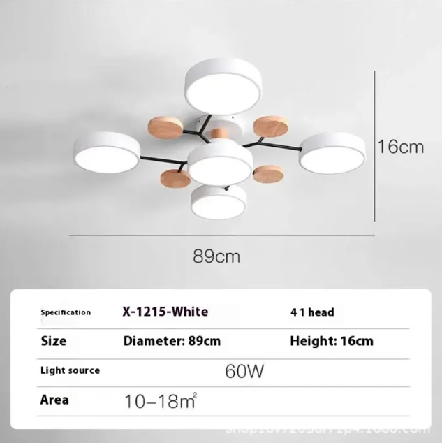 Living Room LED Ceiling Lamp | Modern Design