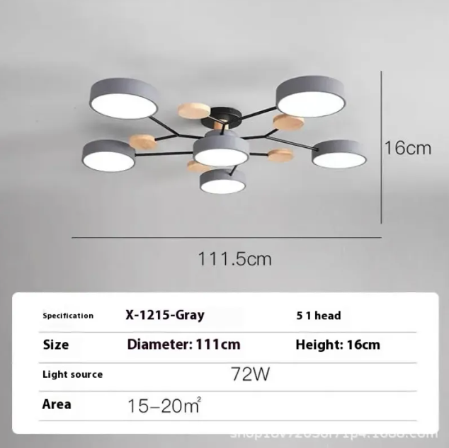 Living Room LED Ceiling Lamp | Modern Design