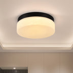 12 Inch LED Ceiling Light