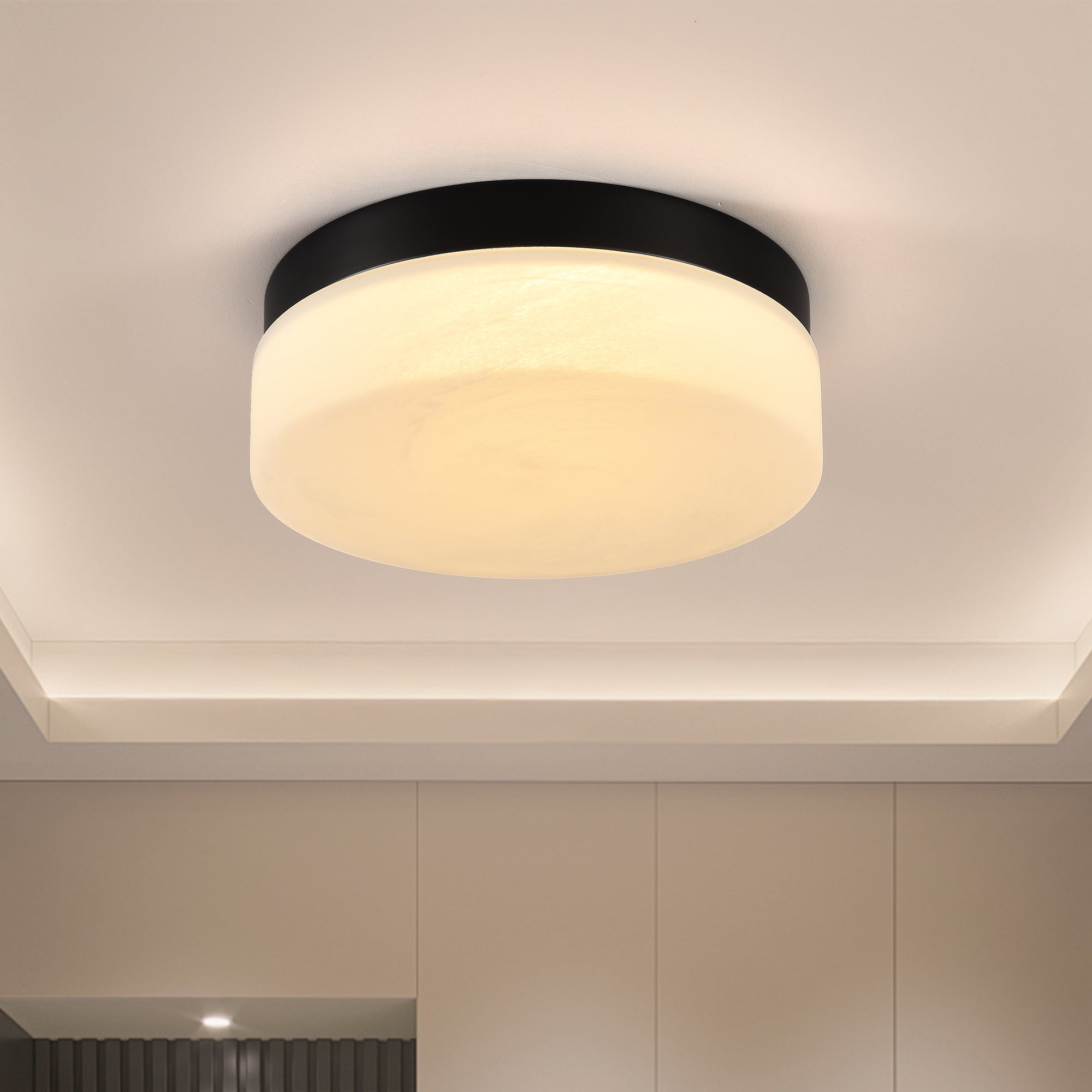12 Inch LED Ceiling Light