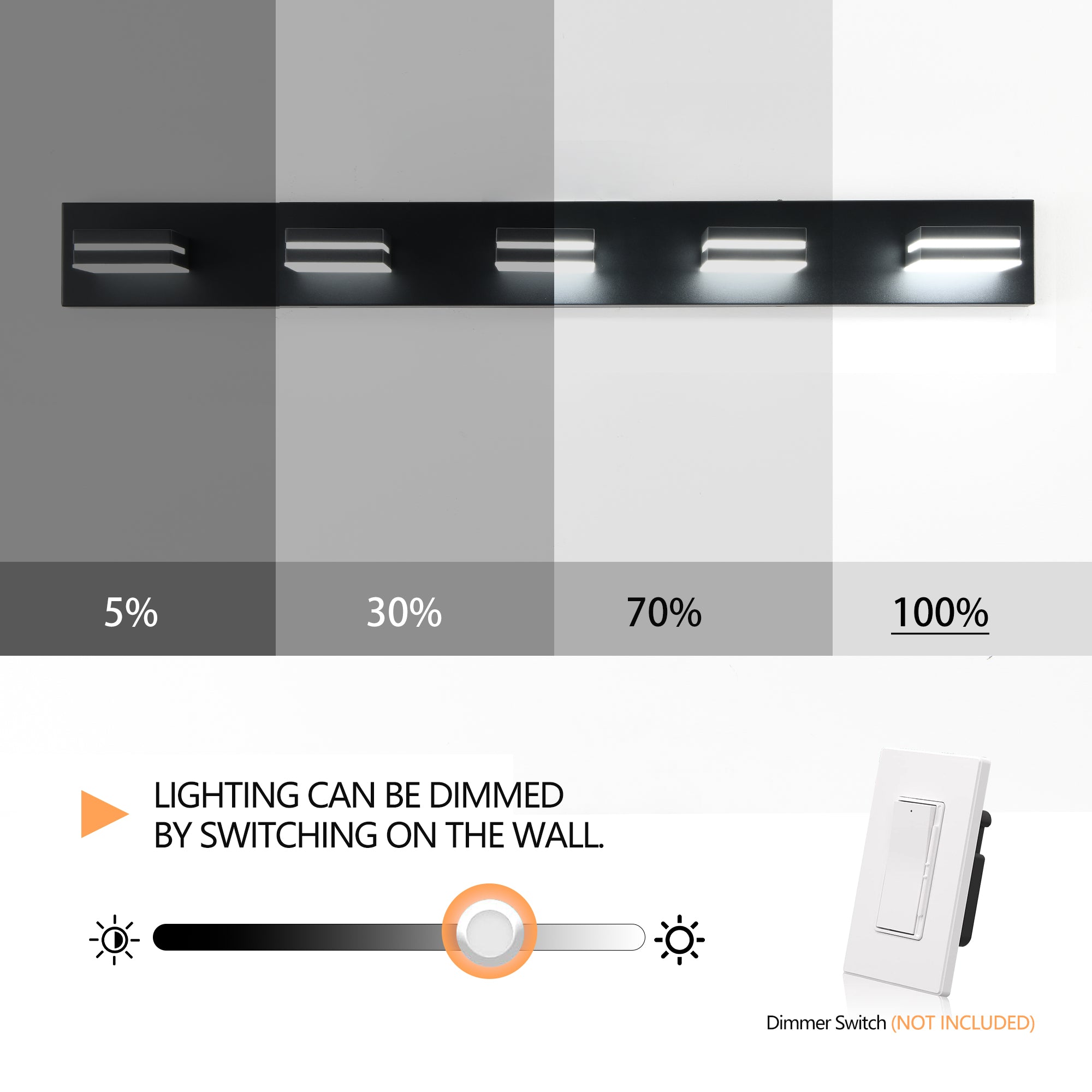 Modern Black LED Vanity Light