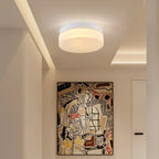 12 Inch LED Ceiling Light