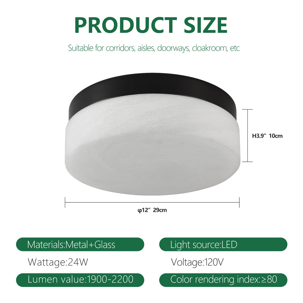 12 Inch LED Ceiling Light