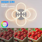 Modern LED Ceiling Light