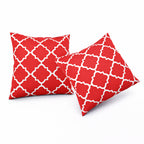 2 Pack Outdoor Throw Pillows