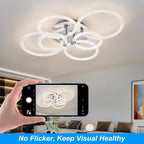 Modern LED Ceiling Light