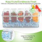 1Set Ice Chilled Condiment Caddy Serving Tray Container Bar Garnish Ho