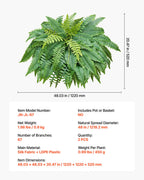 Artificial Ferns