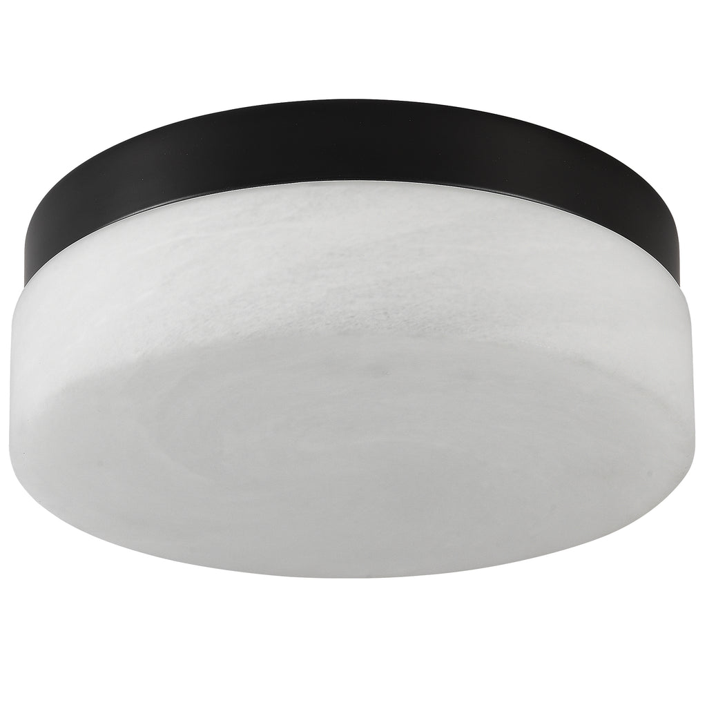 12 Inch LED Ceiling Light