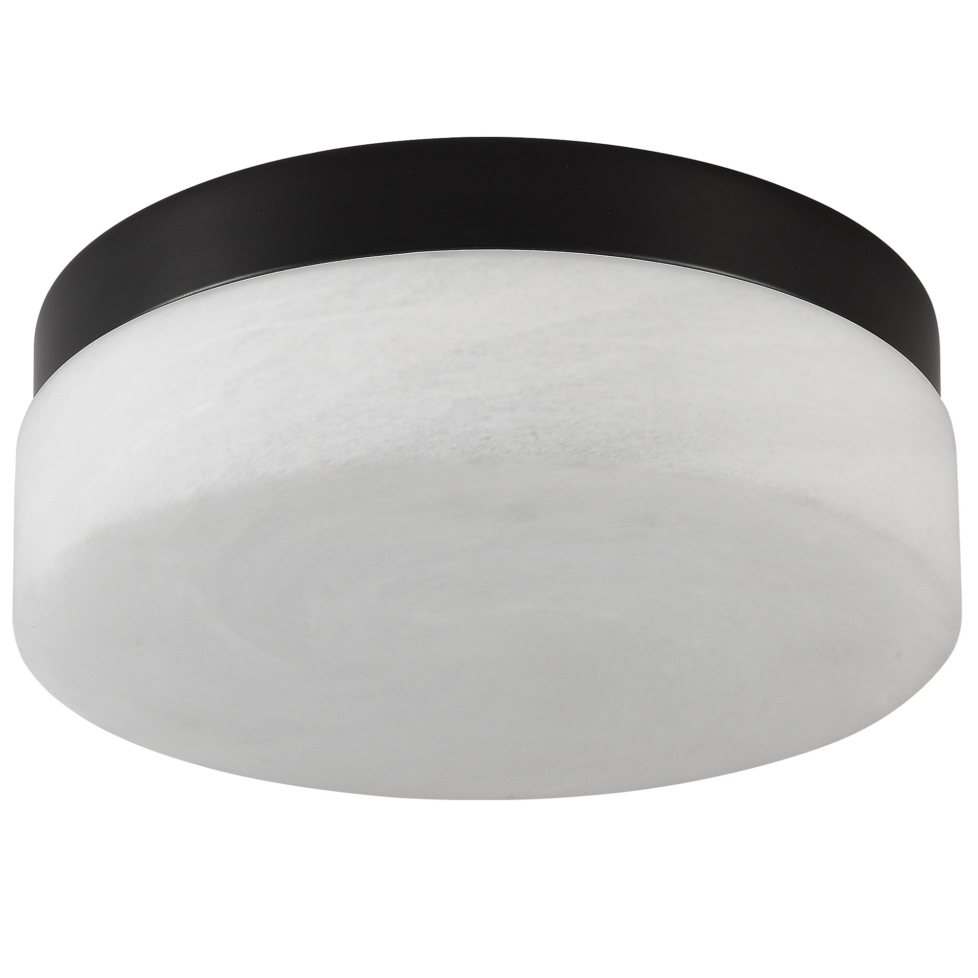 12 Inch LED Ceiling Light