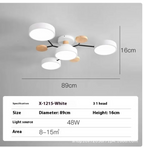 Living Room LED Ceiling Lamp | Modern Design