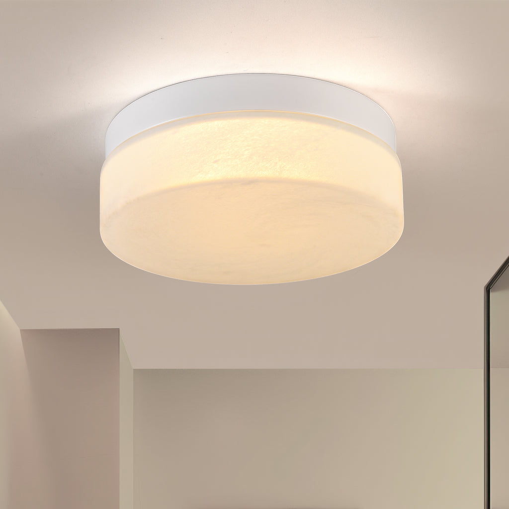 12 Inch LED Ceiling Light
