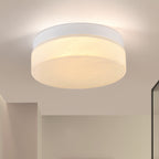 12 Inch LED Ceiling Light