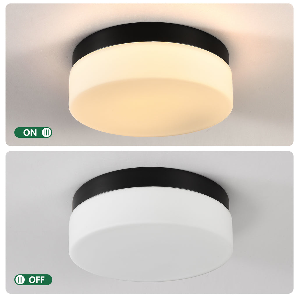 1 PACK LED Flush Mount Ceiling Light Fixture