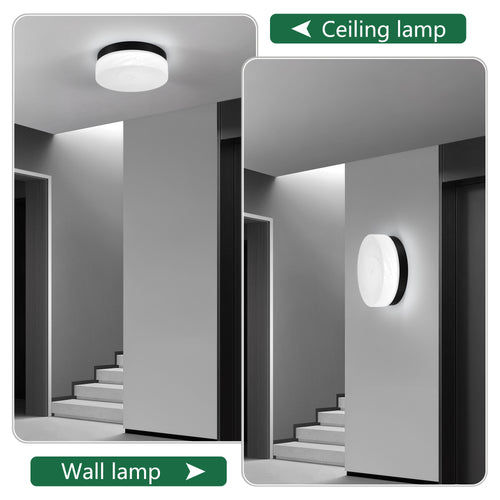 12 Inch LED Ceiling Light