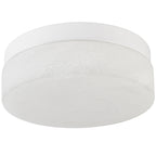 12 Inch LED Ceiling Light