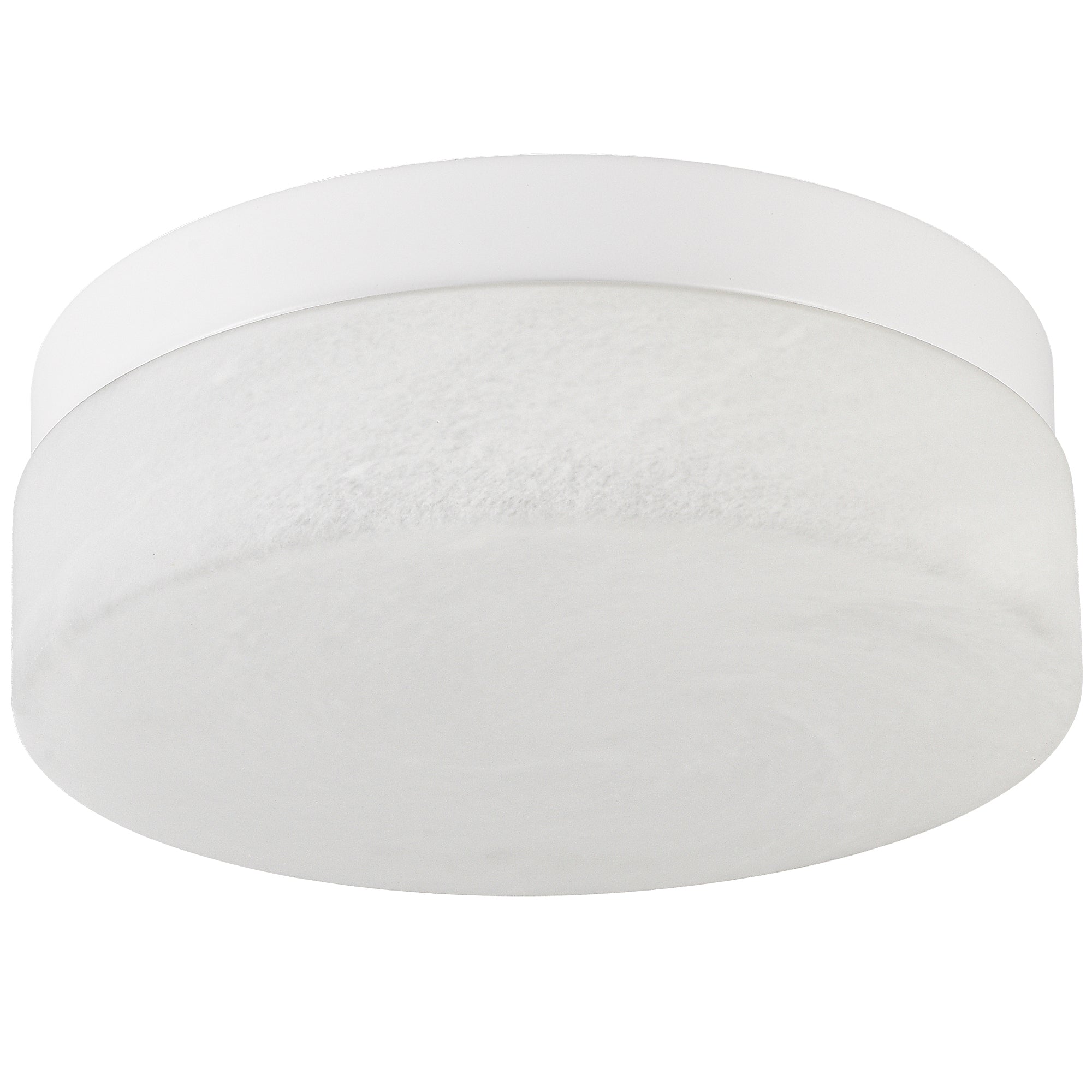 12 Inch LED Ceiling Light