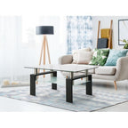 Rectangular Glass Coffee Table | 2-Layer Structure
