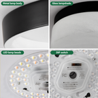12 Inch LED Ceiling Light