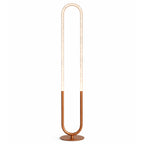 Contemporary Floor Lamp
