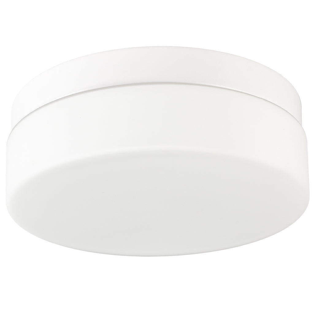 1 PACK LED Flush Mount Ceiling Light Fixture