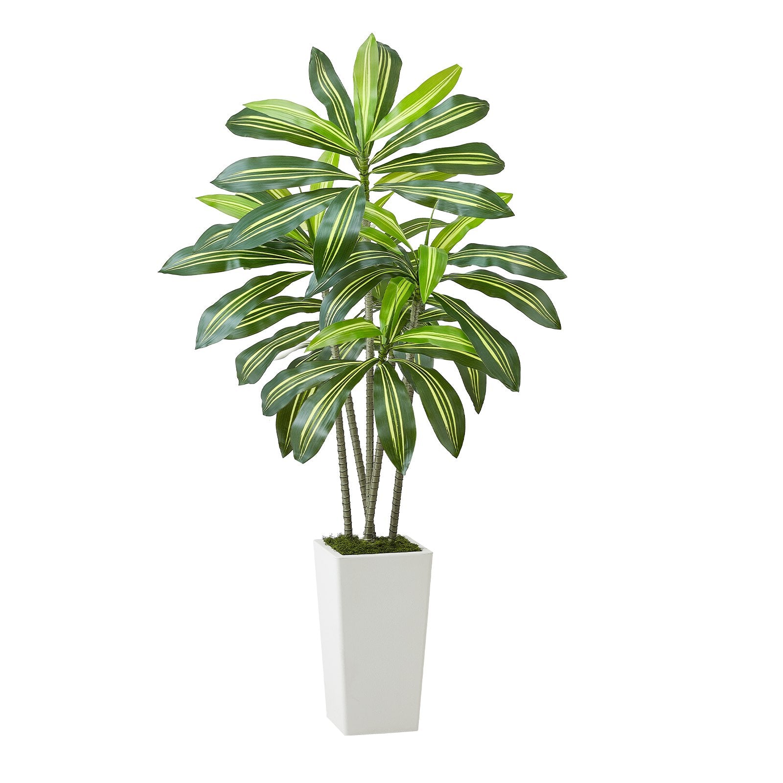 Artificial Dracaena Tree 5 Ft