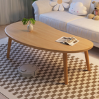 Minimalist Compact Modern Coffee Table | 2-Layer Structure