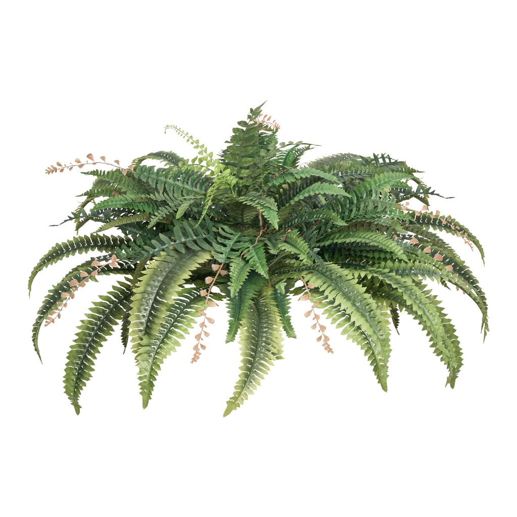 Artificial Ferns