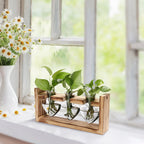 1Pc Plant Terrarium Propagation Station With 3 Heart Shaped Vases Wood