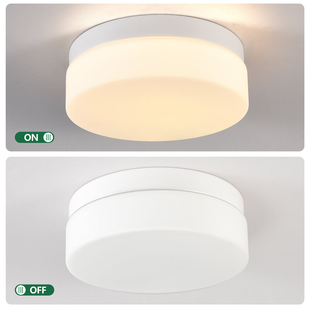 1 PACK LED Flush Mount Ceiling Light Fixture