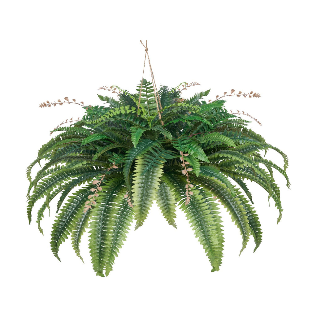 Artificial Ferns