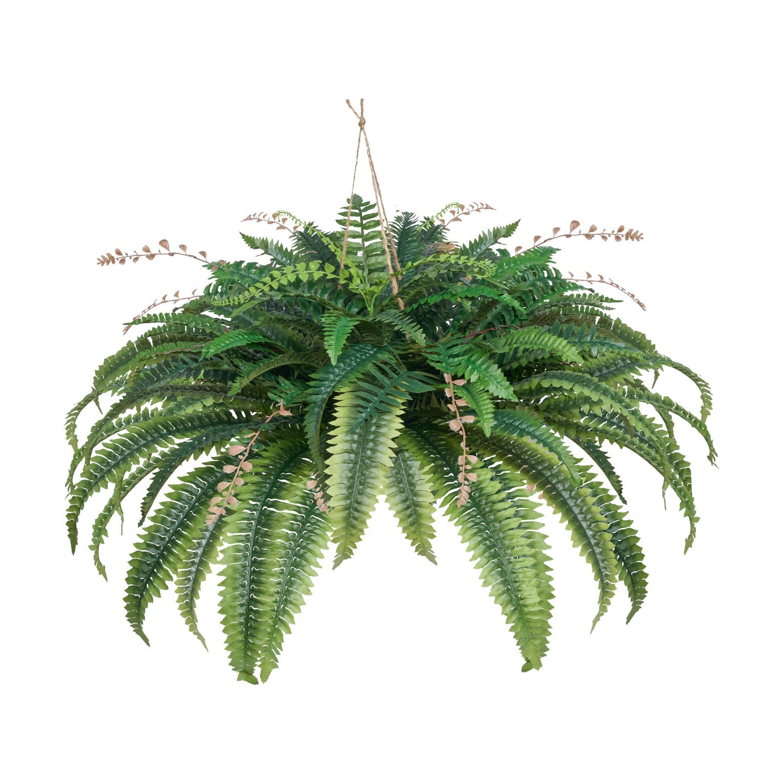 Artificial Ferns