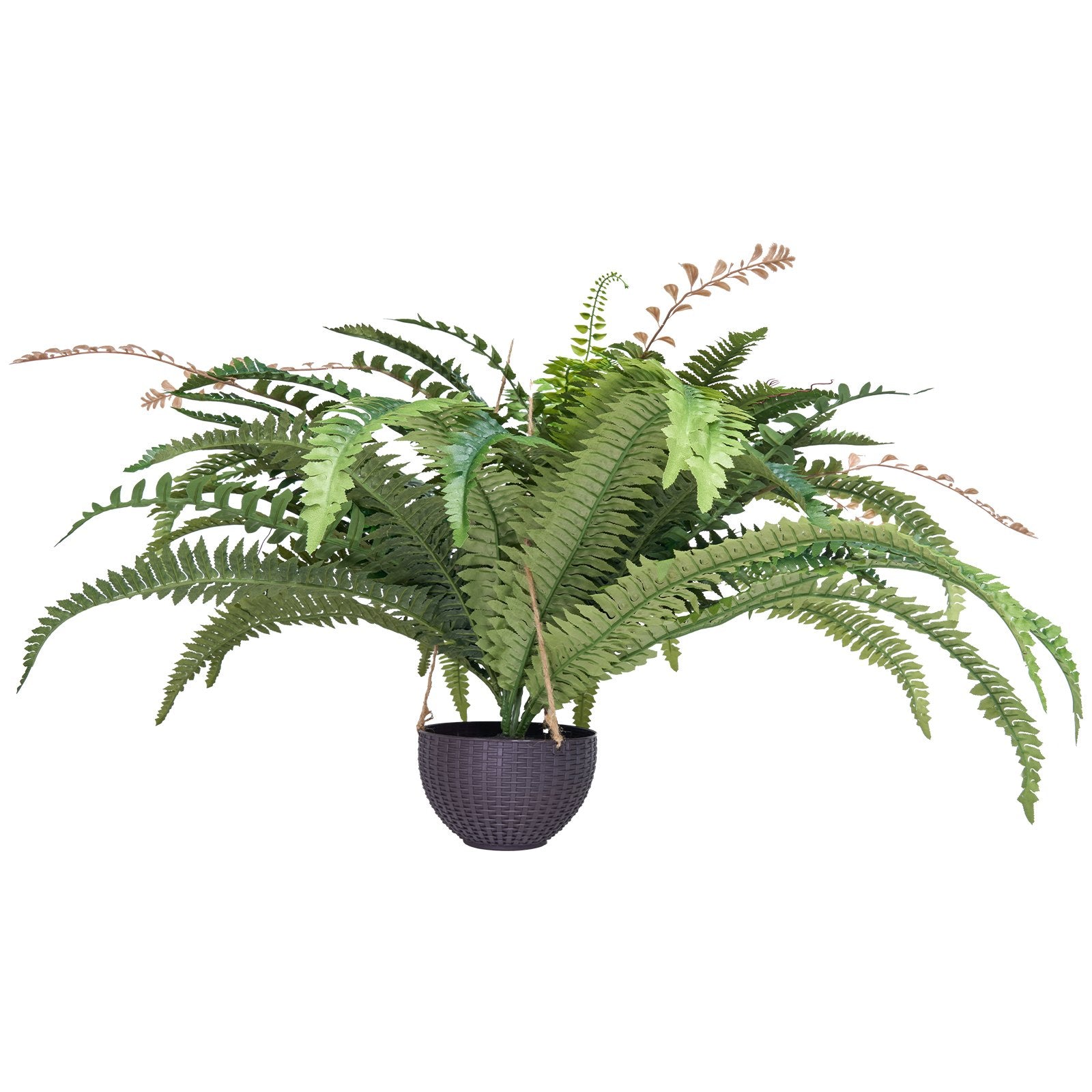 Artificial Ferns