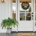 Artificial Ferns