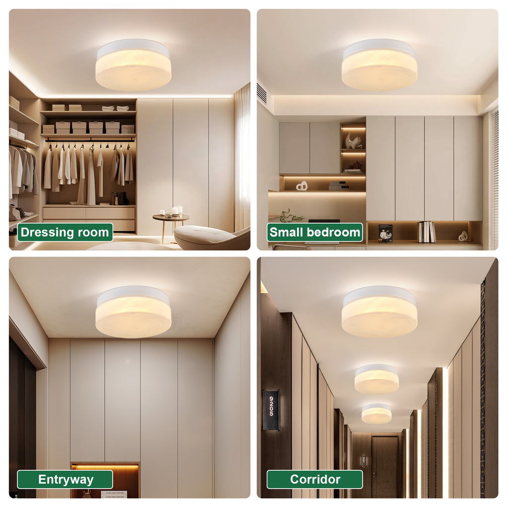 12 Inch LED Ceiling Light