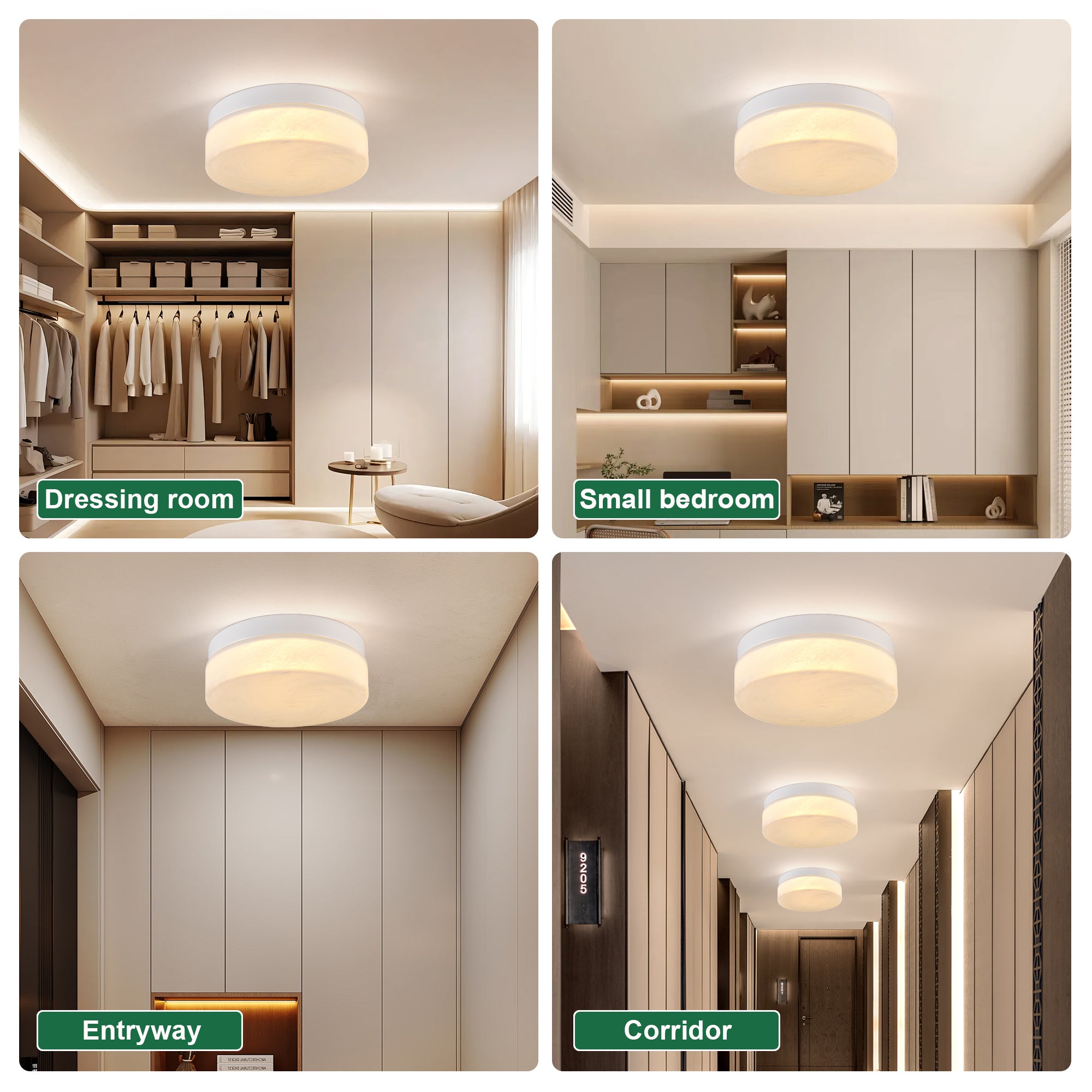 12 Inch LED Ceiling Light