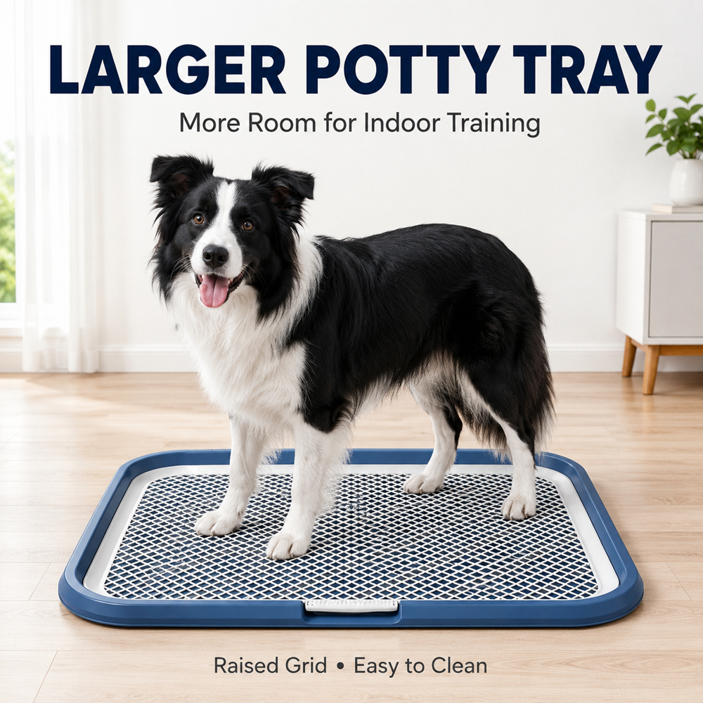 Dog Potty Tray With Removable Grating